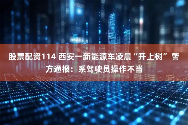 股票配资114 西安一新能源车凌晨“开上树” 警方通报：系驾驶员操作不当